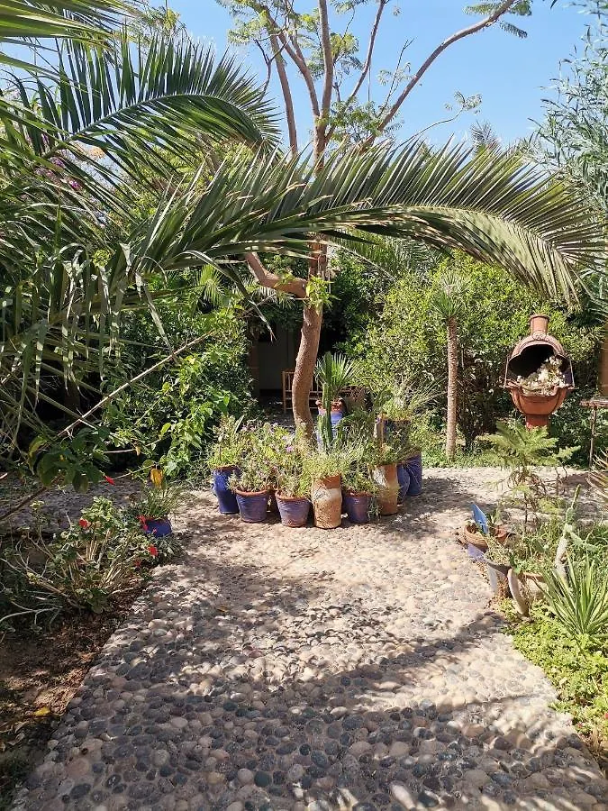 Bed & Breakfast La Maison Du Bled Essaouira Morocco
